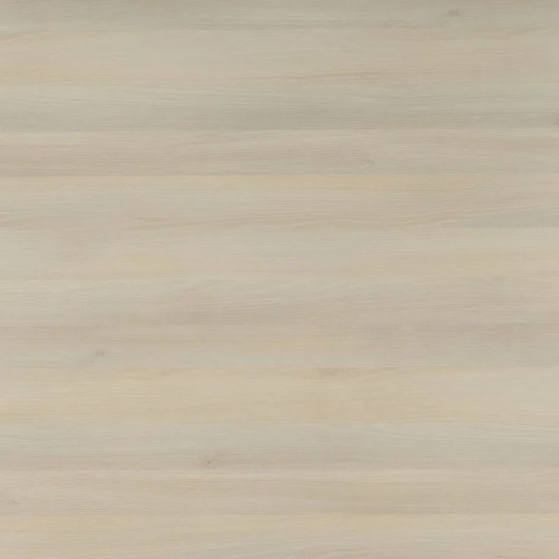 iCon - Moldau Acacia Light